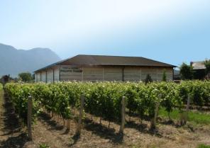 stockage-vins-image-une.jpg