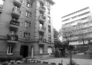 sdc10191_nb.jpg
