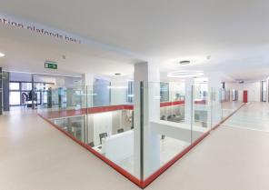 alcci-21.jpg