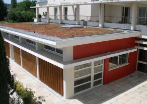 extension_avec_terrasse_vegetalisee.jpg