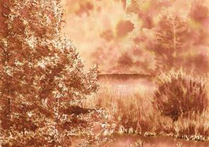 lavis 2015 Chamalières-sur-Loire