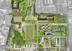 Plan masse du site