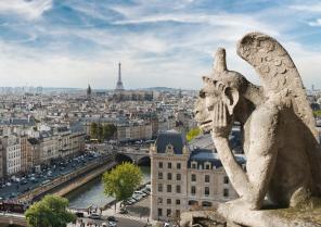 Paris, vu de Notre-Dame 