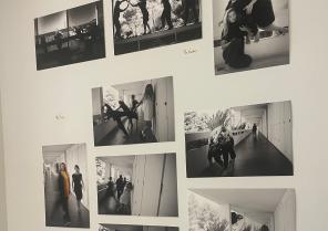 Exposition photo Memories of a Concrete Love