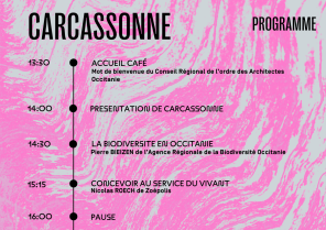 AT CARCASSONNE