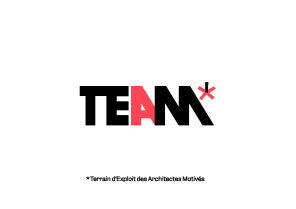 Logo de la TEAM : Terrain d'Exploits des Architectes Motivés