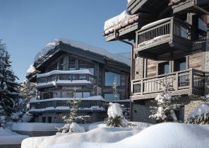 CHALETS TWIN & BROTHER - ARCHIDOMO (tous droits réservés)