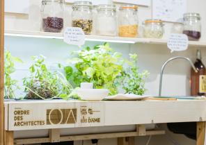 Exposition Biosphère Urbaine