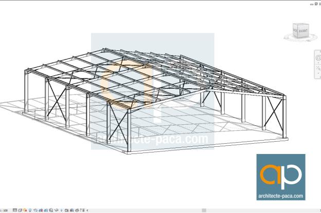 Hangar Professionnel Structure Metallique