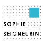 logo_seigneurin.jpg logo_seigneurin.jpg