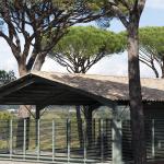 b2a0164.jpg b2a0164.jpg