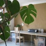 ateliervert.jpg ateliervert.jpg