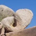 nature_architecture_photo_gg.jpg nature_architecture_photo_gg.jpg