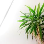 imag7769.jpg imag7769.jpg