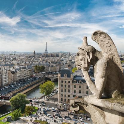 Paris, vu de Notre-Dame 