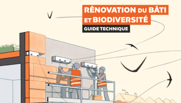 Rénovation du bâti et biodiversité