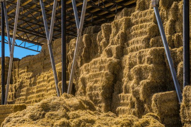 Hangar de stockage agricole