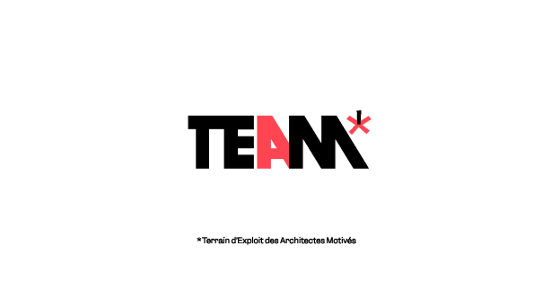 Logo de la TEAM : Terrain d'Exploits des Architectes Motivés