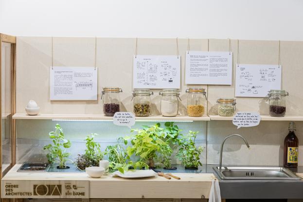 Exposition Biosphère Urbaine