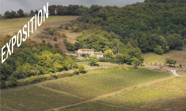 Exposition « L’architecte ne mord (presque) pas #2